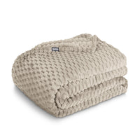 Bare Home Microplush Fleece Blanket - 300 GSM - Fuzzy Microfleece - Soft & Plush - Full/Queen, Gray