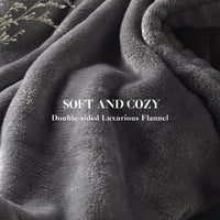GONUES Heated Blanket 72